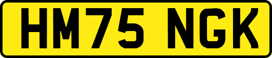 HM75NGK