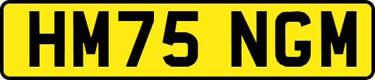 HM75NGM