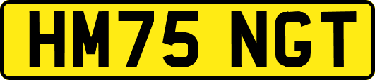HM75NGT