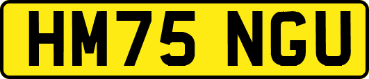 HM75NGU