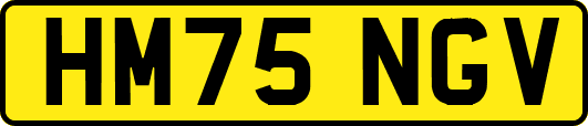 HM75NGV
