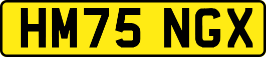 HM75NGX