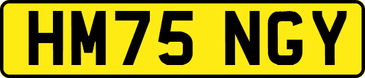 HM75NGY
