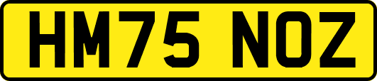 HM75NOZ