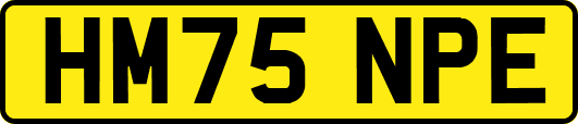 HM75NPE