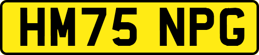 HM75NPG