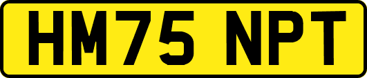 HM75NPT