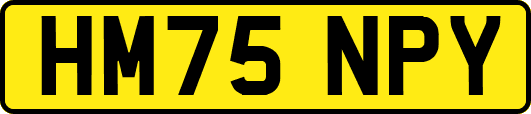 HM75NPY