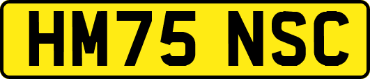 HM75NSC