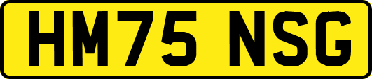 HM75NSG