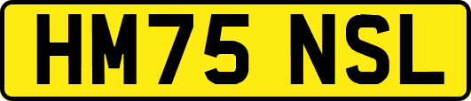 HM75NSL