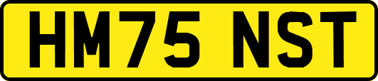 HM75NST