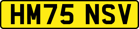 HM75NSV