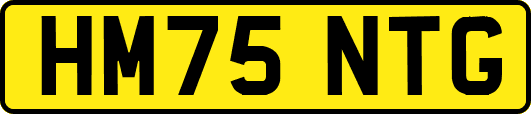 HM75NTG