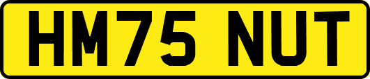 HM75NUT