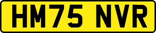 HM75NVR