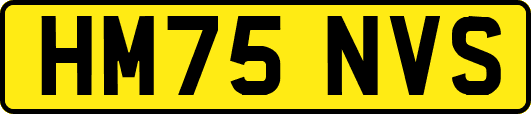 HM75NVS