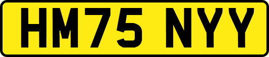 HM75NYY