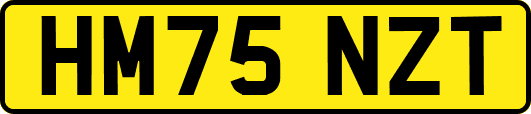 HM75NZT