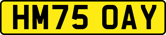 HM75OAY