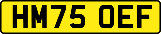 HM75OEF