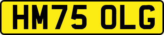 HM75OLG