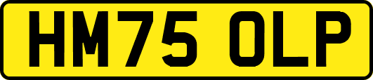 HM75OLP