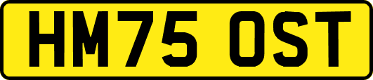 HM75OST