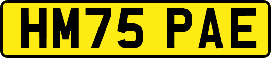 HM75PAE