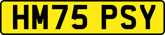 HM75PSY