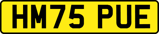 HM75PUE
