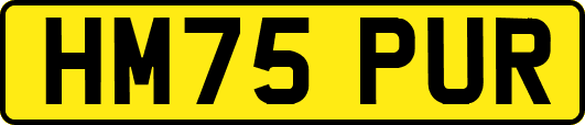 HM75PUR