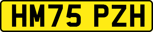 HM75PZH