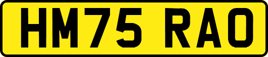 HM75RAO