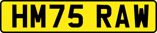 HM75RAW