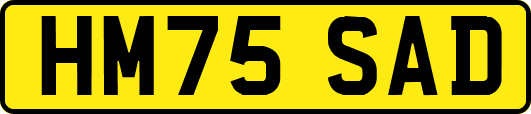 HM75SAD