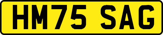 HM75SAG