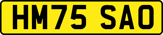 HM75SAO
