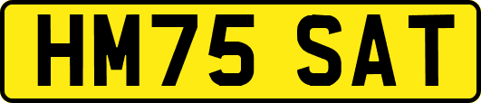 HM75SAT