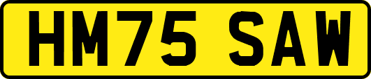 HM75SAW