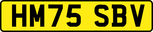 HM75SBV