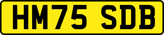 HM75SDB