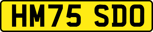 HM75SDO