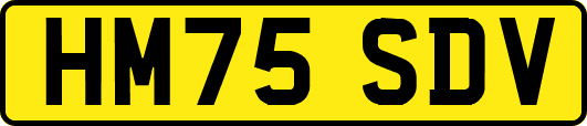 HM75SDV