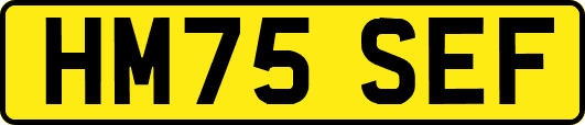 HM75SEF