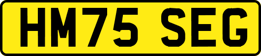 HM75SEG