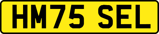 HM75SEL