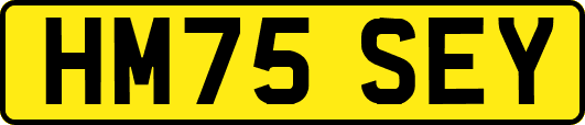 HM75SEY