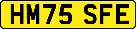 HM75SFE