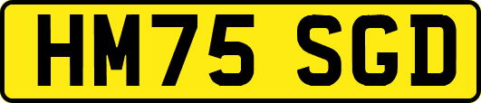 HM75SGD